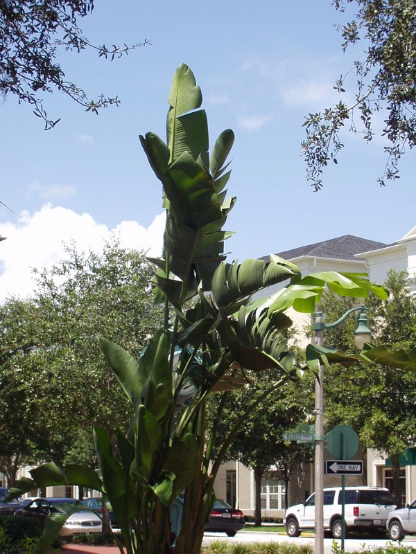 P8170028