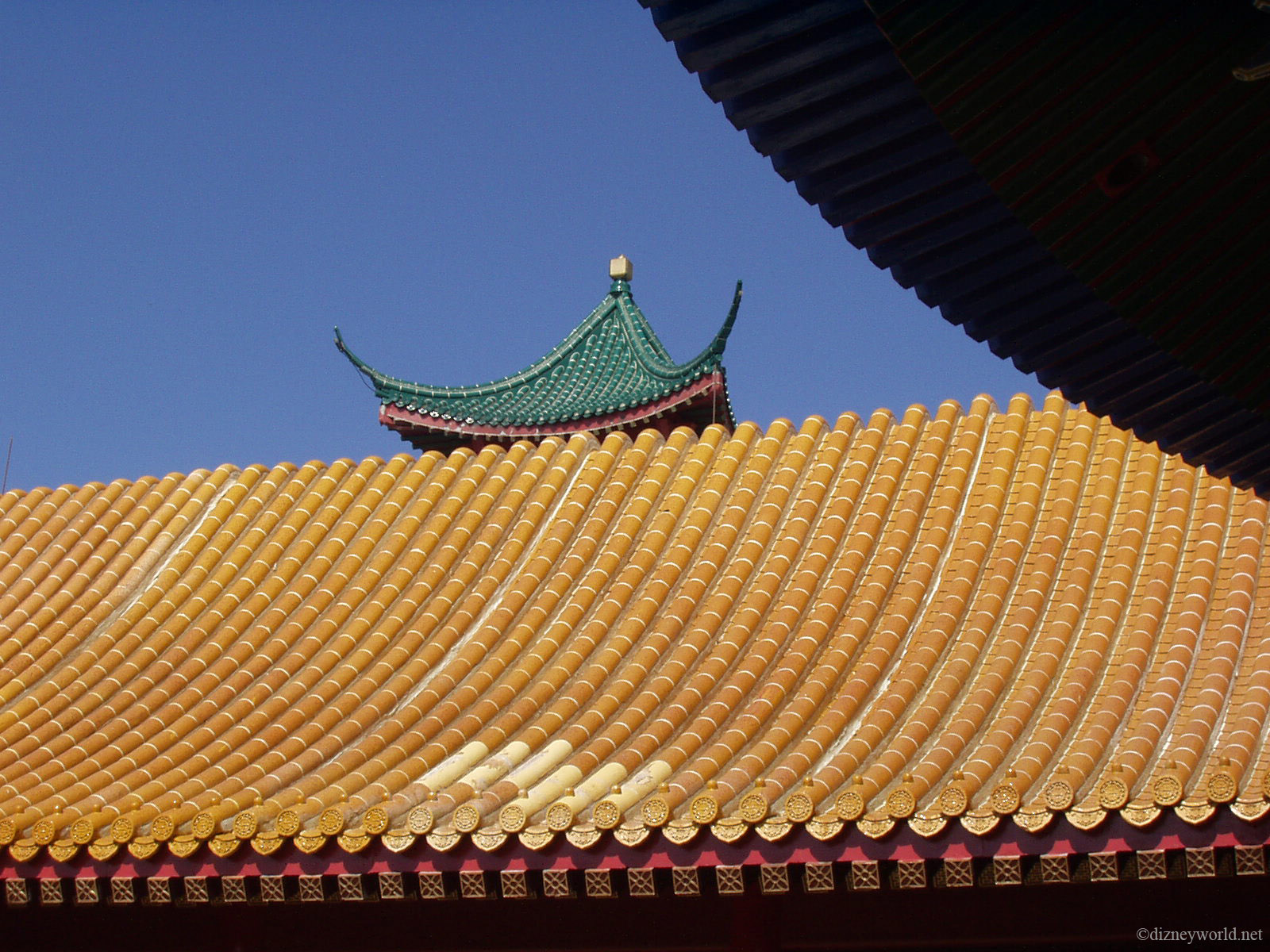 P8160130