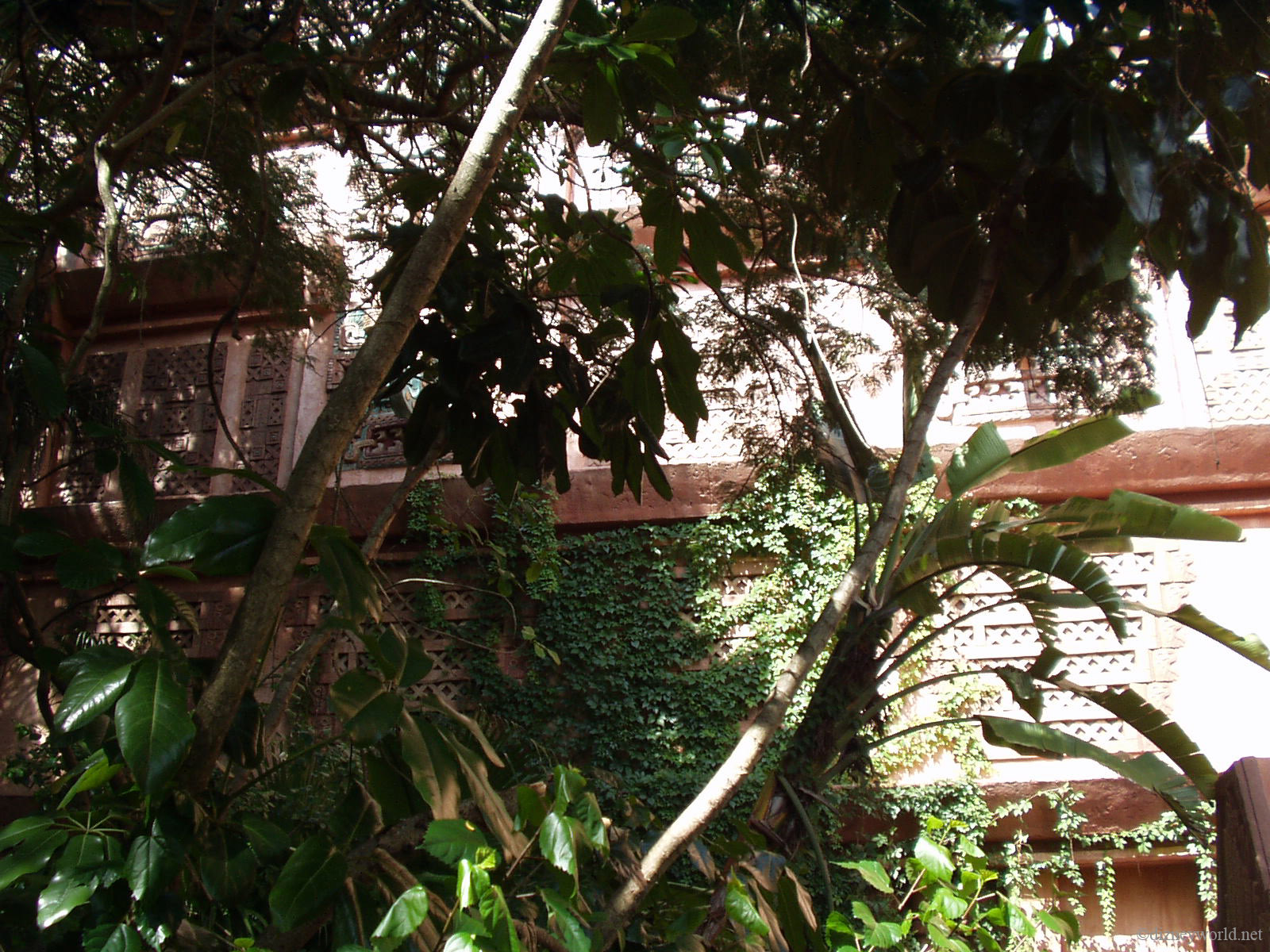 P8160149