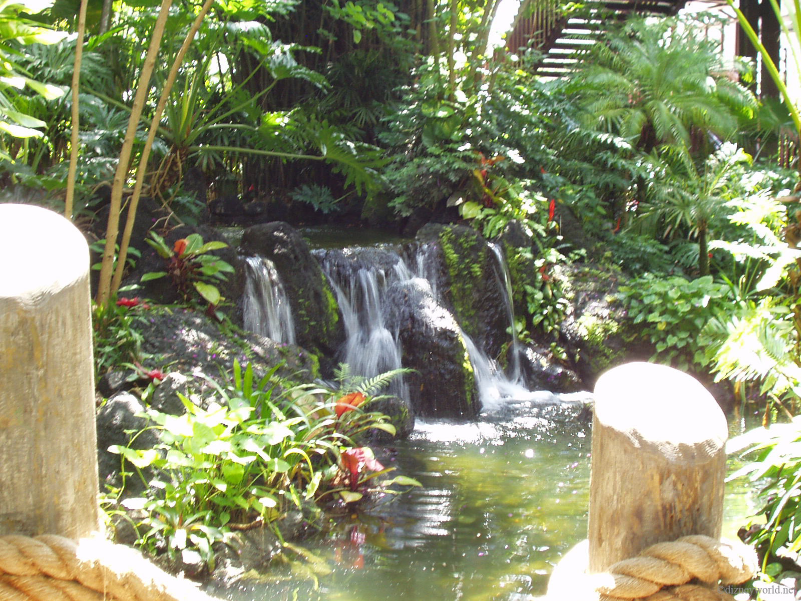 P8150236